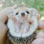 [댓글부탁해] 얘들아 너희는 미의 기준이 뭐야?