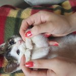 [이쁜<b>둥이</b>들] 나의사랑<b>둥이</b>들