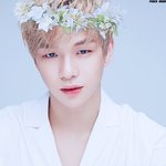 [워너원] <b>화관</b>쓴거