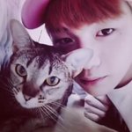 [워너원] 오늘 <b>와이</b> 떡밥없냐옹