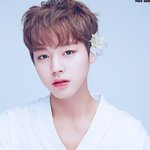 [워너원] 워너원 <b>화관</b>쓴거