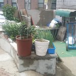 [도와주세요] <b>추</b>2) 층간소음 보다 더 심한 아랫집 후기입니다