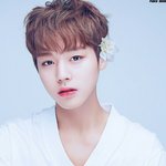 [워너원] 이거 내 배경화면인데 볼때마다 너무 <b>감탄</b>스러워