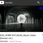 [EXO] 늑대와<b>미녀</b> 1억뷰 ㅊㅊ