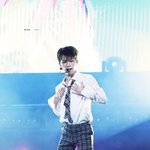 [세븐틴] ㅅㄷ 얘더라 솜뭉치 살까말까ㅜㅜ