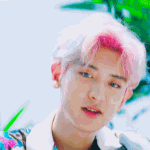 [EXO] 아니 진짜 박찬열은 <b>정석</b>미남임