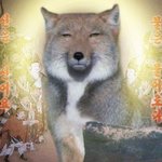 [뉴이스트] ㅅㄷ) 여기 밖으로 나가니까 진짜 대환장파티구나.....