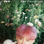 [EXO] 폰배경 <b>하루</b>에 <b>한</b>번씩바뀜