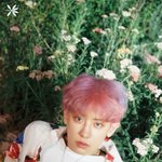 [EXO] 이번 티저는 진짜 팬들<b>보정</b>보다