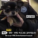 [워너원] 비하인드에 <b>분량</b> ㅈㄴ불공평해