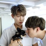 [워너원] 둘다 <b>댕댕이</b> 하루이틀 안아본 폼이 아님