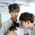 [워너원] <b>장모</b>치와와 숙소에서 키우는거?