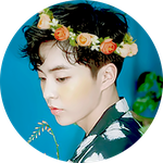 [시우민] 대박!!!! 코코밥 화관 시우민 프사!!!!!