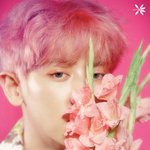 [EXO] 찬열이 이사진좋아하나봄ㅋㅋㅋ