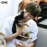 [워너원] 낯가림 심한 강아지에 주인