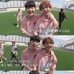 [골든차일드] 억울한 단순 햄 성애자(<b>feat</b>.손영택씨 봉재현씨...