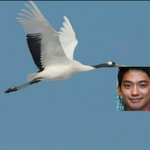 내가 너무 한심하다