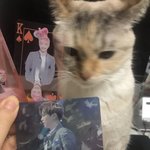 [워너원] 강<b>집사</b> 향한 냥이사랑은