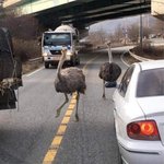 [꼭조언부탁] 안녕하세요 <b>저</b>는 중 3 입니다