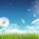 [10대의성] 다이소 안마기 <b>사면</b>