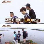 [댓글부탁해] 엑소팬들이 <b>국민</b> 히트곡이라는 으르렁의 현실.jpg