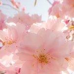 [댓글부탁해] 방학하면 다이어트 할 <b>거양</b>