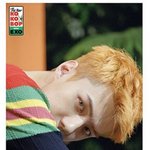 [EXO] ㅅㅂ어쩐지 <b>익숙</b>하다 했더니