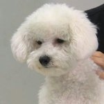 [최민기] 민기를 보며 드는 <b>나의</b> 생각