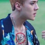[EXO] 왜 백현이만 다름?