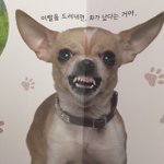 [워너원] <b>네버</b>11인?