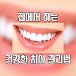 집에서도 할 수 있는 건강한 <b>치아</b> 관리법