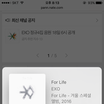 [EXO] 야 스밍 궁금한 거 있음 어른폰