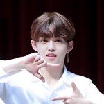 [세븐틴] ㅅㄷ 요즘 이 <b>동작</b> 유행인것 같은데