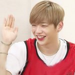 [워너원] 술게임 <b>벌칙</b>으로 폭탄주 걸렸을때