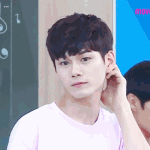 [워너원] 옹아 내 컵라면 못봤어? 내가 <b>식탁</b>에 올려놨었는데