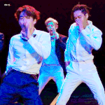 [EXO] 야 근데 이 상황에 미안한데
