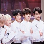 [세븐틴] ㅅㄷ?캐럿들 콘서트 나눔받을때