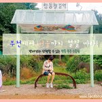 강아지 <b>산책</b>하기 좋은 곳!!!