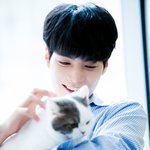 [뉴이스트] 오늘자 고양이보다 못한 내인생 (갓ㅅㅍ치 <b>찬양</b>해!!)