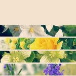 [뉴이스트] 빅픽쳐 굳이당