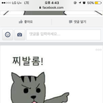 혹시 이 고양이짤 아는사람