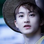 기대하게 만드는 아기 사자 남돌