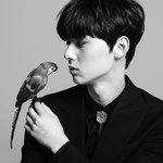 [워너원] 아니 <b>식빵</b> 저 앵무새시키는