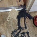 [EXO] __ 민석이 너무 귀여워서 옆에있늠거 <b>암거</b>나 때렸는데