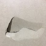 [드루와] 아 어캄 집 (((((벽))))) <b>부심</b>ㅈㄴㅎㅈㅁㅊㅅㅈㅂㅊ