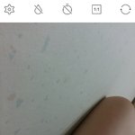 (사진주의)<b>푸디</b> 개꿀 필터 모두가 알아줬으면