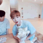 [워너원] 야아 인슾 <b>vr</b> 나만 괜찮냐