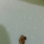 [댓글부탁해] 노브랜드 콘 스위트 <b>시리얼</b> 먹다가...