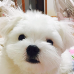 <b>피지</b> 뽑는 꿀팁 알려줄게