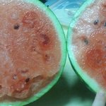 [댓글부탁해] 이거 <b>수박</b> 모자이크 병이야..?